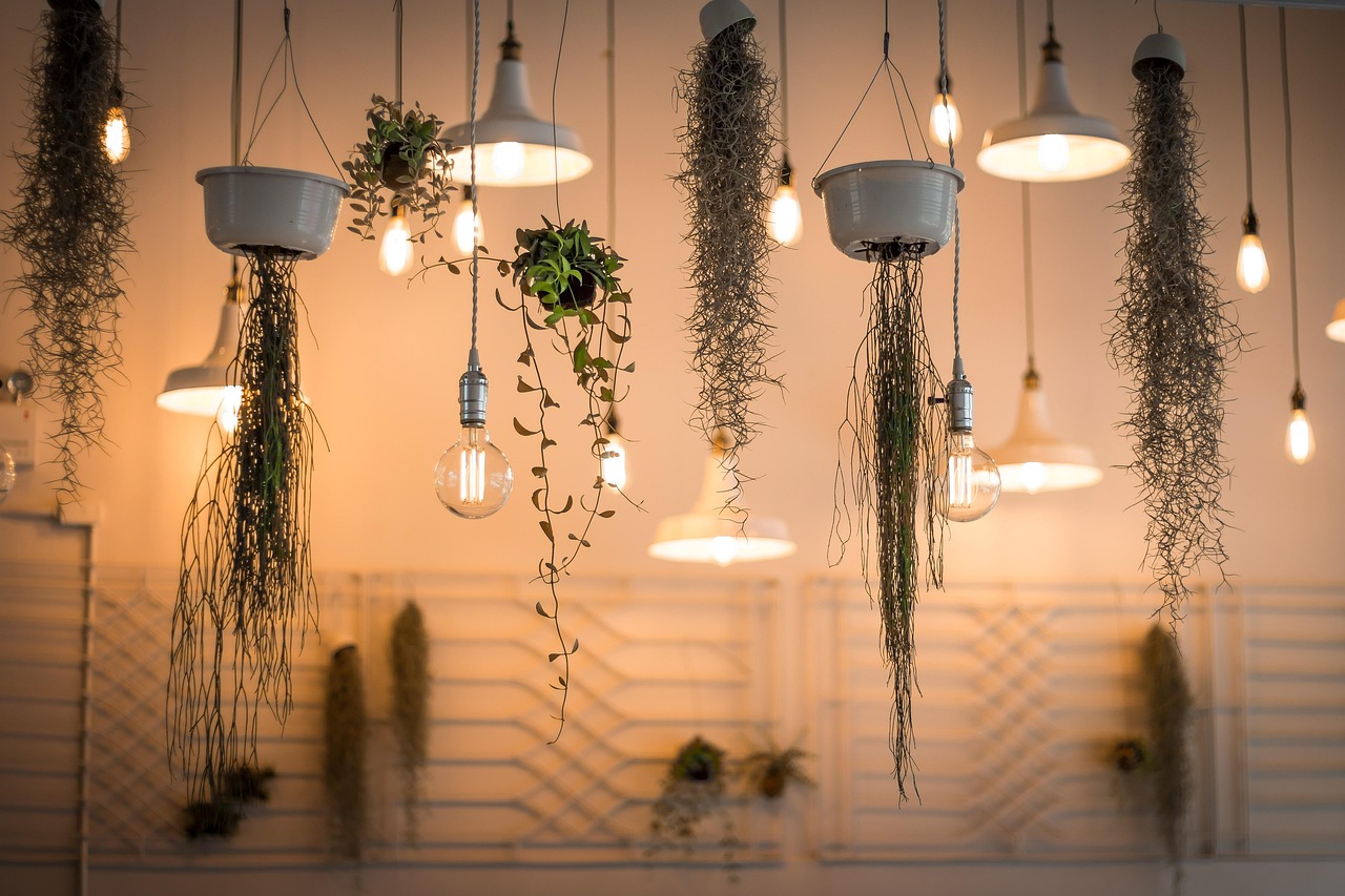 lights, decoration, illuminated, interior design, plants, light bulbs, hanging plants, nature, incandescent, lighting, interior decoration